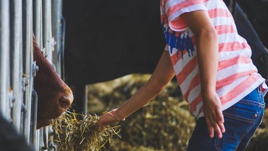 Maine Schools Embrace Homesteading Education: A New Reason Families Are Choosing the Pine Tree State (featured)